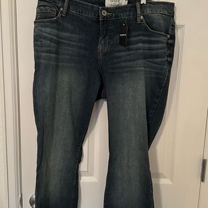 TORRID Women's Blue Jeans